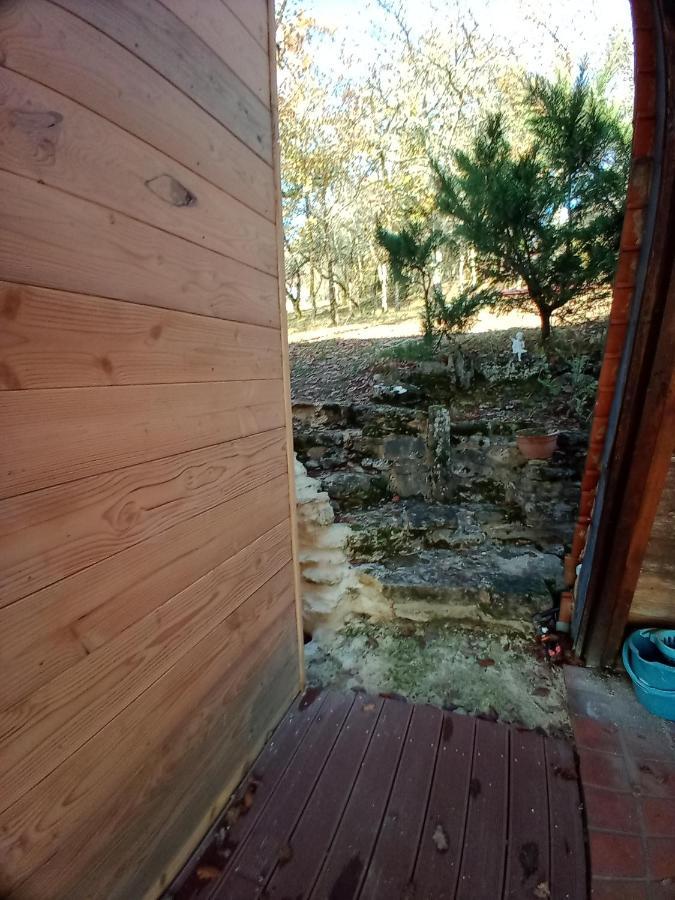 Maison Dans Un Ecrin De Verdure Saint-Leon-sur-Vezere Εξωτερικό φωτογραφία