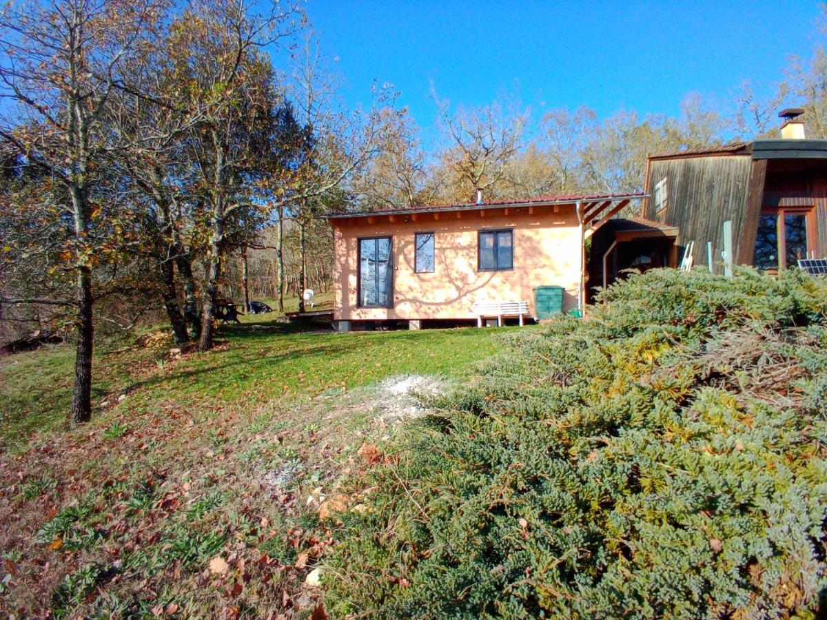 Maison Dans Un Ecrin De Verdure Saint-Leon-sur-Vezere Εξωτερικό φωτογραφία